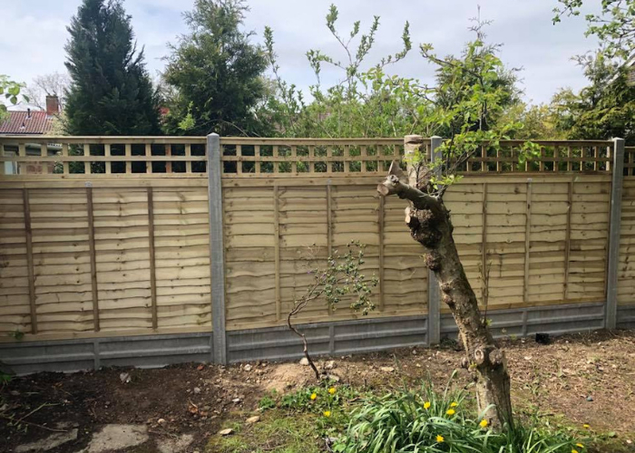 Fence panels with trellis top
