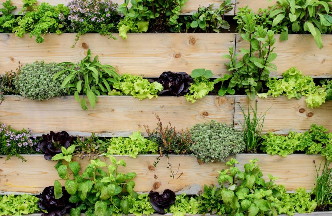 Solent Fencing Hampshire Fencing Supplies in Portsmouth