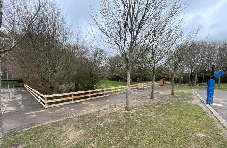 Post and Rail Fencing 768x500
