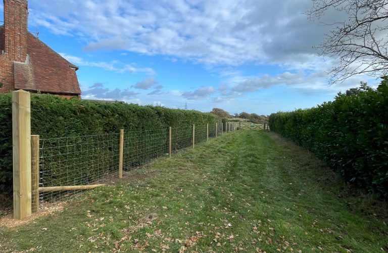 Stock Fencing 768x500